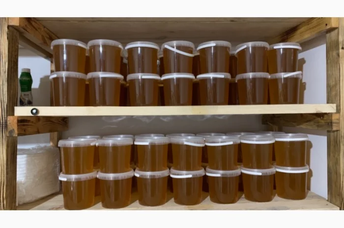 Продам натуральний мед із лісової пасіки, медові соти з рамкою, пилок, бджолине молочко- фото № 2