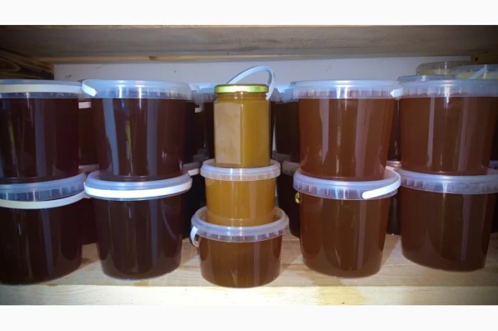 Продам натуральний мед із лісової пасіки, медові соти з рамкою, пилок, бджолине молочко- фото № 7