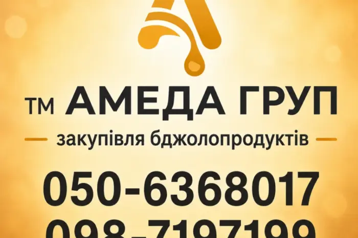 Закупаем сортовой МЕД акация- фото № 1