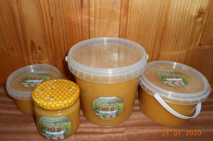 Мед лісове різнотрав’я- фото № 1
