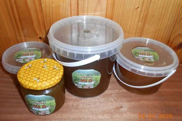 Хвойний мед- фото № 1