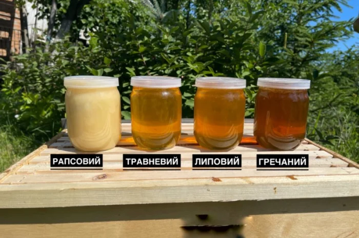Продаж меду 2025 року- фото № 1