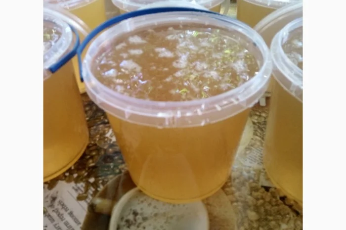 Продается мёд подсолнечника и мёд из рабса- фото № 1