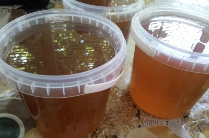 Продается мёд подсолнечника и мёд из рабса- фото № 2