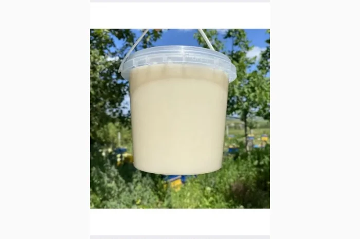 Продается мёд подсолнечника и мёд из рабса- фото № 3