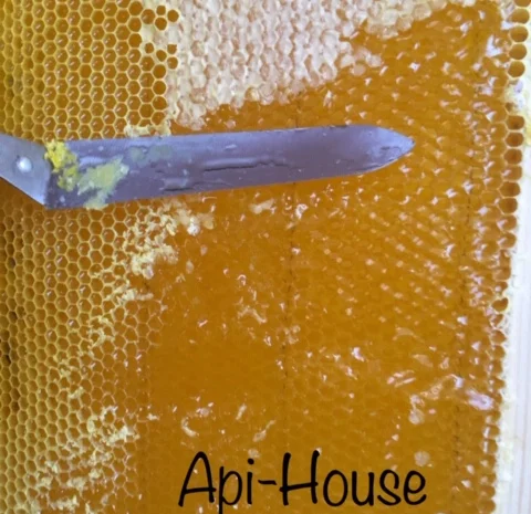 Пропонується натуральний мед 2022 з Харкова- фото № 7