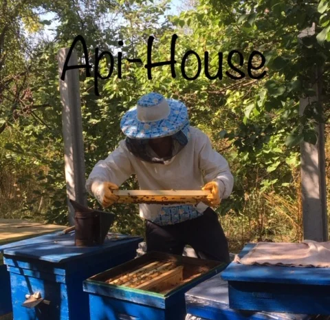 Пропонується натуральний мед 2022 з Харкова- фото № 2