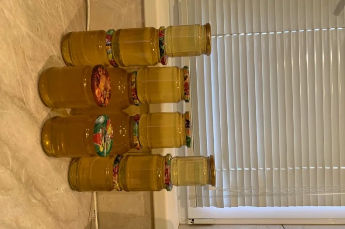 Пропонується екологічно чистий акацієвий мед- фото № 7