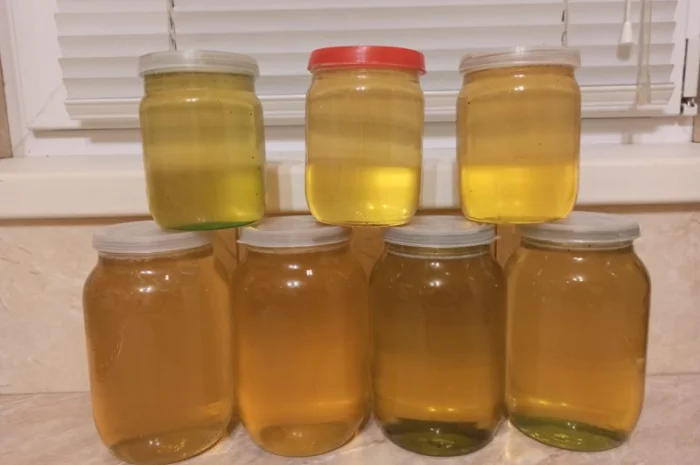 Пропонується екологічно чистий акацієвий мед- фото № 2