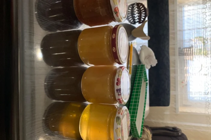 Пропонується екологічно чистий акацієвий мед- фото № 4