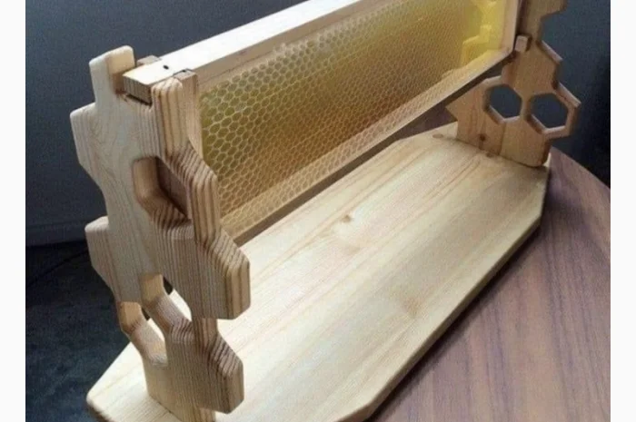 Пропонується екологічно чистий акацієвий мед- фото № 5