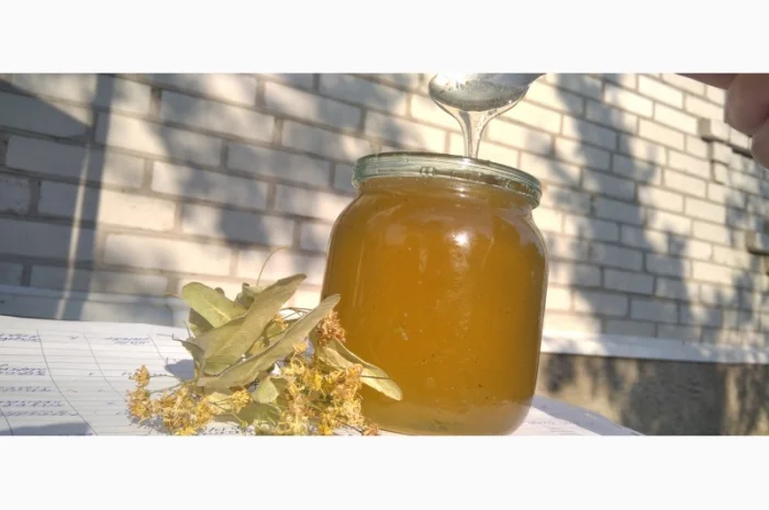 Продам мед з власної пасіки 2024 року – акацієвий та липовий- фото № 6