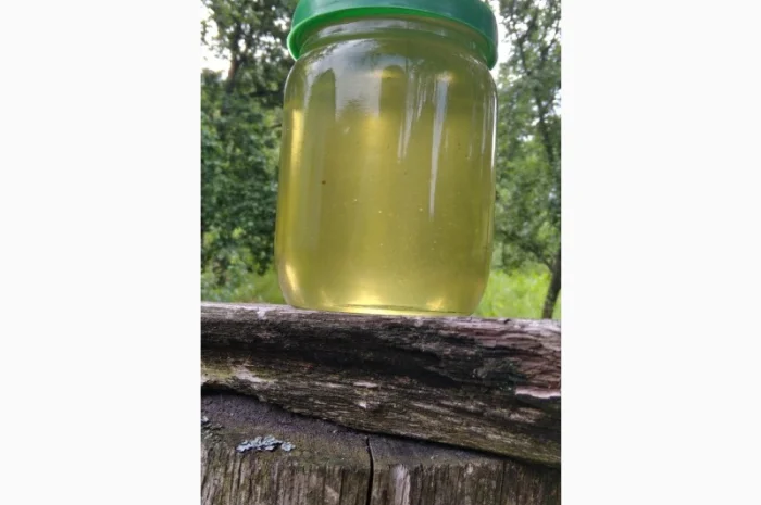 Продам мед з власної пасіки 2024 року – акацієвий та липовий- фото № 1