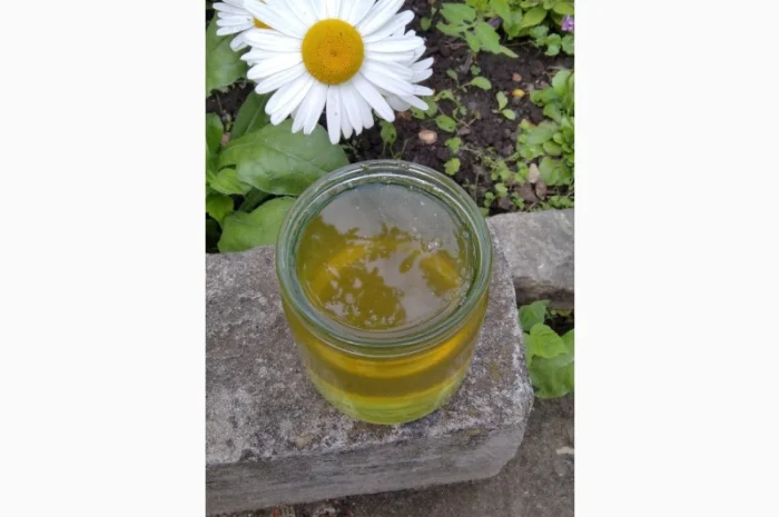 Продам мед з власної пасіки 2024 року – акацієвий та липовий- фото № 2
