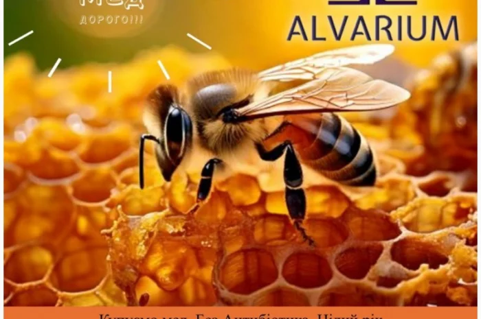 Куплю мед без антибиотиков- фото № 1