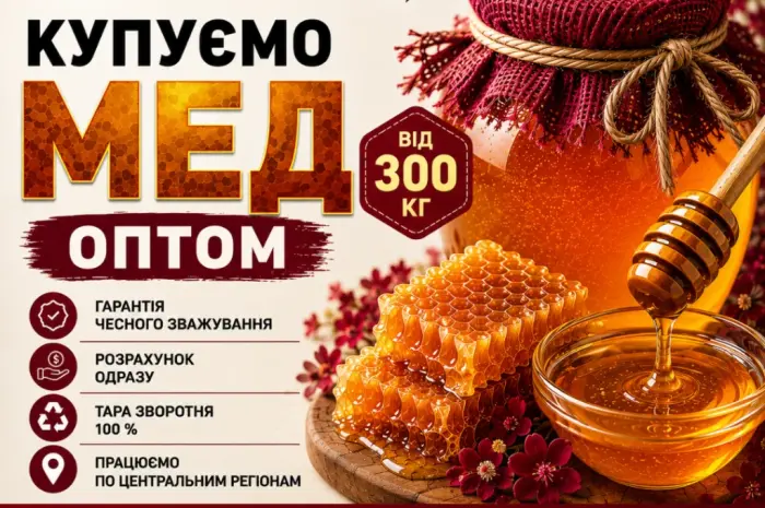 Оптовая закупка меда. Выезд наш. ОПТ-МЕД- фото № 1