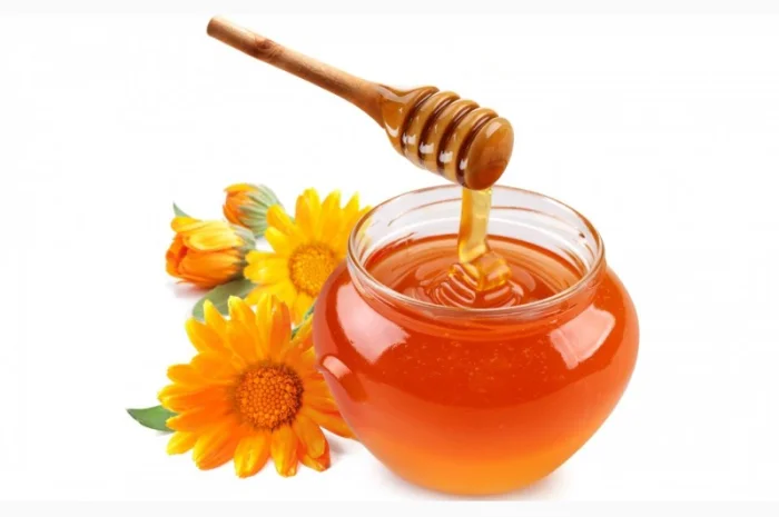 Купую мед оптом. Будь який об'єм- фото № 1