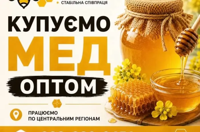 ОПТ-МЕД Покупаем МЕД в центральных областях- фото № 1