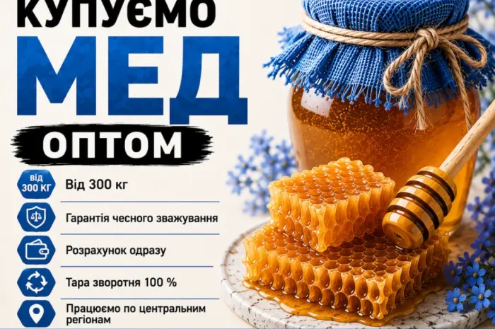 Закупаем МЕД ОПТОМ в центральных областях- фото № 1