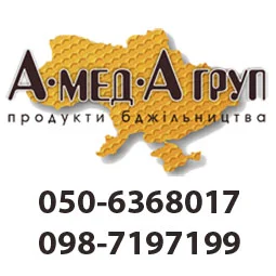 Закупка меда оптом от 300 кг с. Жильжа- фото № 1