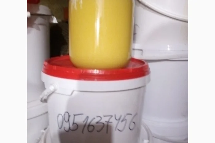 Мед на продаж- фото № 2