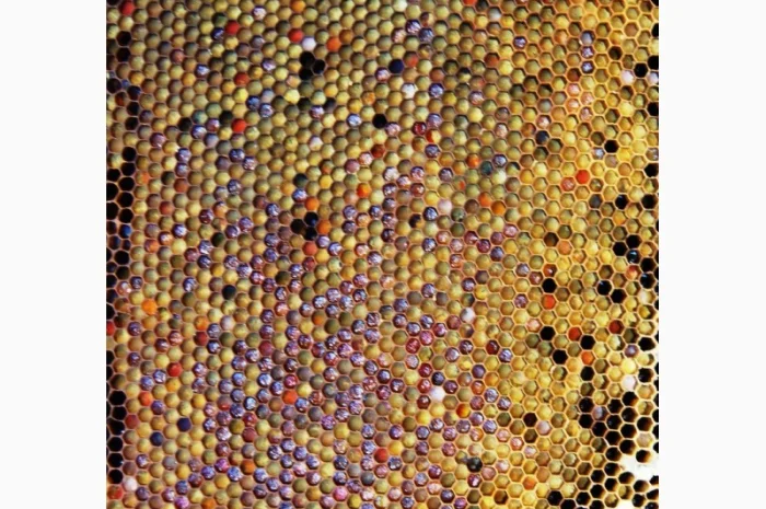 Мед в сотах 2025 года сбора- фото № 4