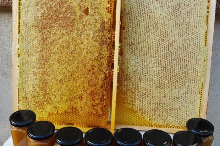 Мед в сотах 2025 года сбора- фото № 2