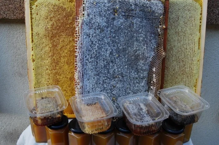 Мед в сотах 2025 года сбора- фото № 3