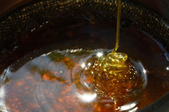 Мед в сотах 2025 года сбора- фото № 8