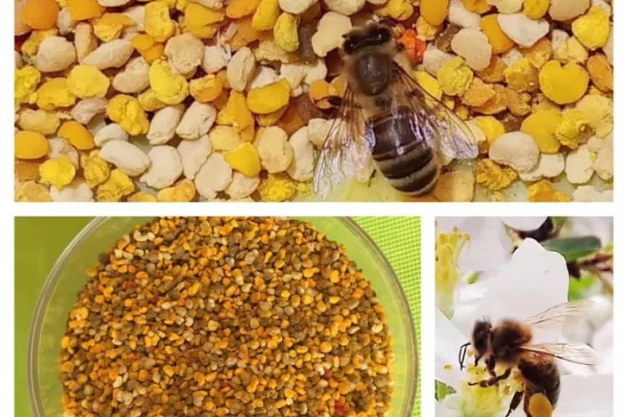 Мед карпатских гор- фото № 2