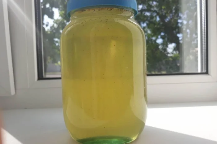 Мед акація 2024 року- фото № 2