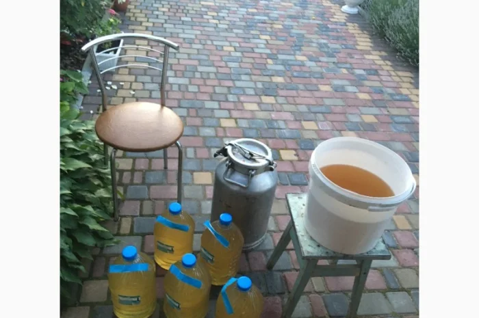 Мед акація 2024 року- фото № 3