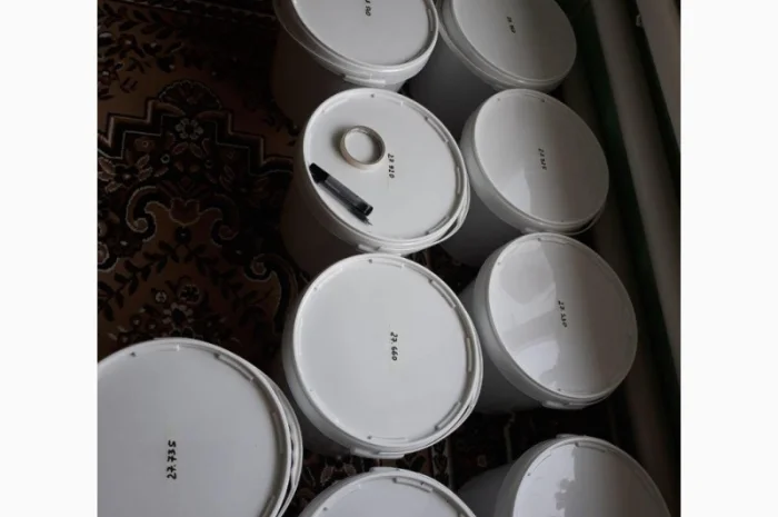 Мед акація 2024 року- фото № 4