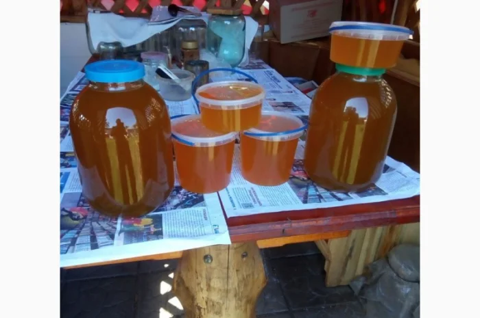 Продается мед с собственной пасеки- фото № 1