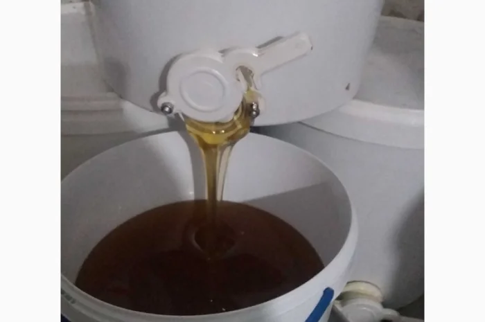 Продается мед разнотравья- фото № 1