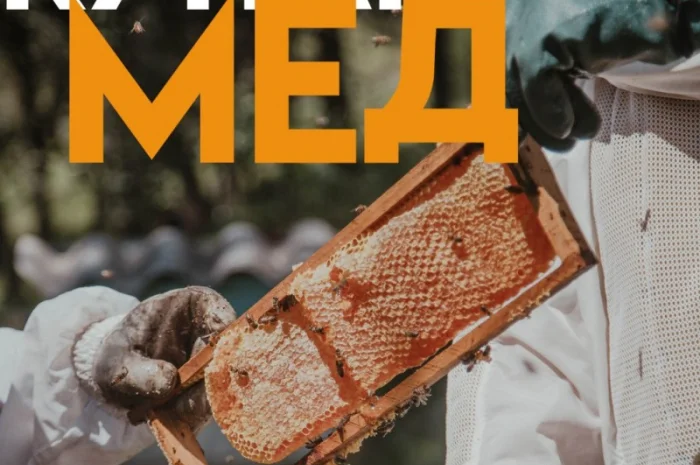 Купую мед від 300 кг у Черкасах- фото № 1