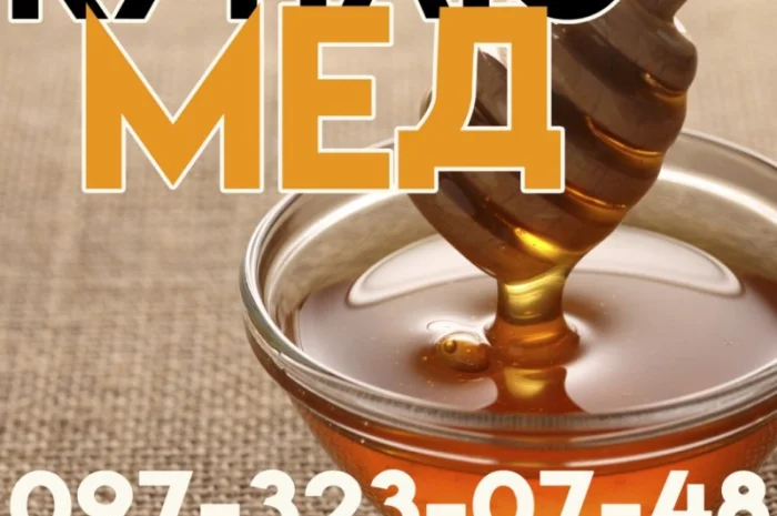 Купую мед від 300 кг у Черкаській області- фото № 1