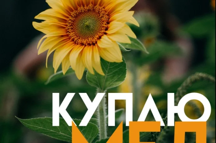 Закупка меда в Кировоградской области- фото № 1