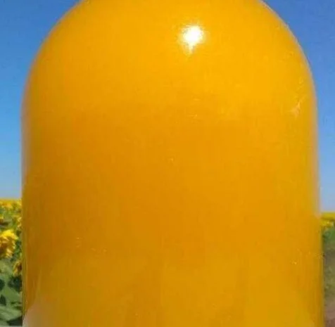 Пропонується мед майський ріпак 2023 року- фото № 1