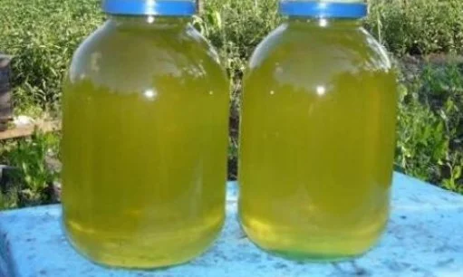 Пропонується мед майський ріпак 2023 року- фото № 3