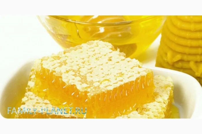 Продам мед Ріпаковий (Рапсовий)- фото № 1