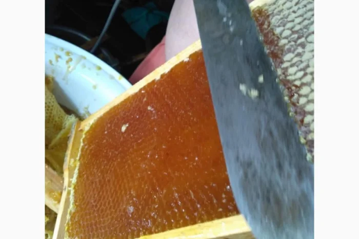 Пропонується натуральний липовий мед з різнотрав'ям 2023 року- фото № 1