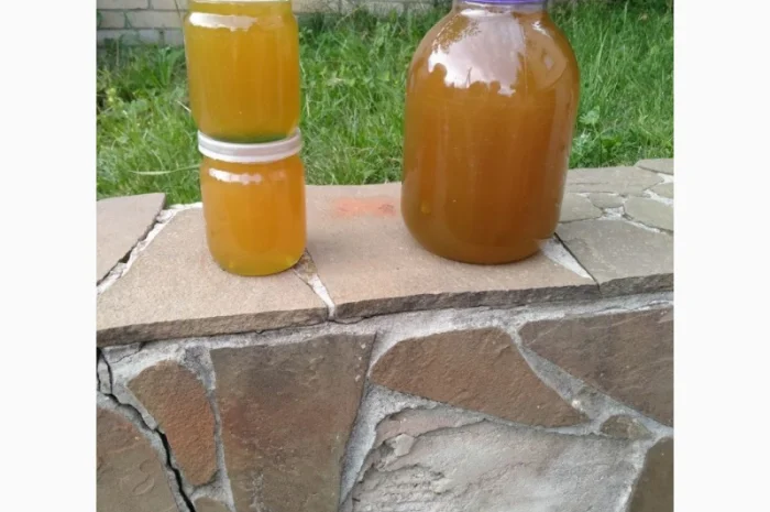 Продам мед- фото № 2