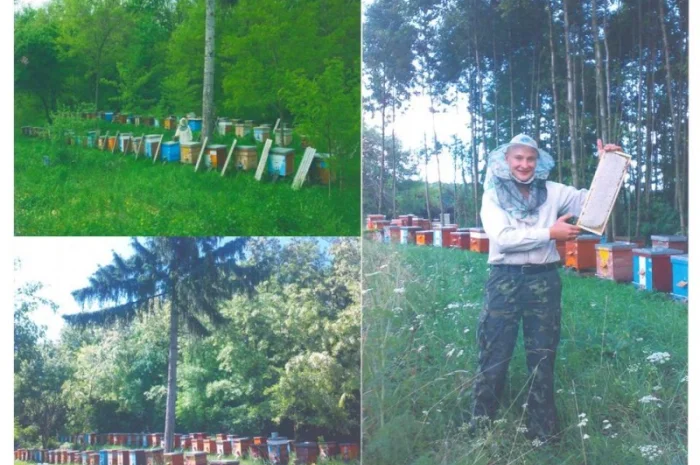 Мед Акація Біла з власної пасіки, натуральний та якісний- фото № 2