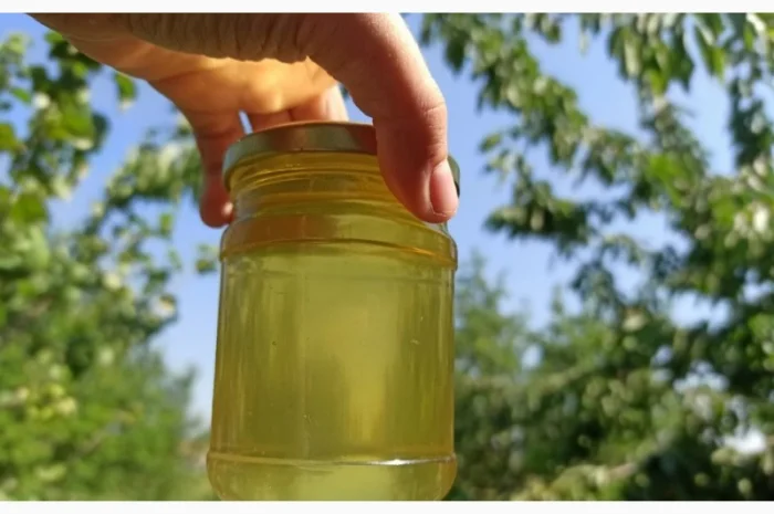 Мед акация з власної пасіки, 100% натуральний, урожай 2021 року- фото № 2