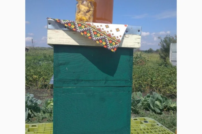 Мёд из семейной пасеки в пойме реки Мжа- фото № 2