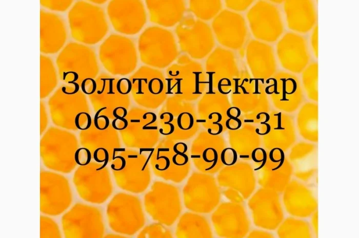Закупаем мёд в Днепропетровской и Херсонской областях- фото № 1