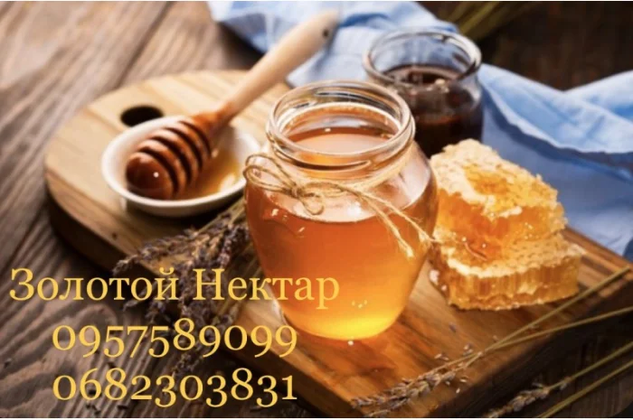 Закупаем подсолнечный мед оптом в Кривом Роге – Золотой Нектар- фото № 1