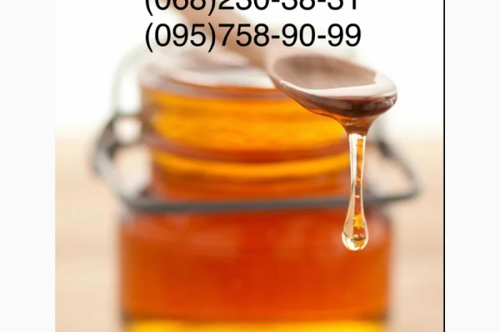 Закупаем мёд у пасечников — честные условия и самовывоз- фото № 1