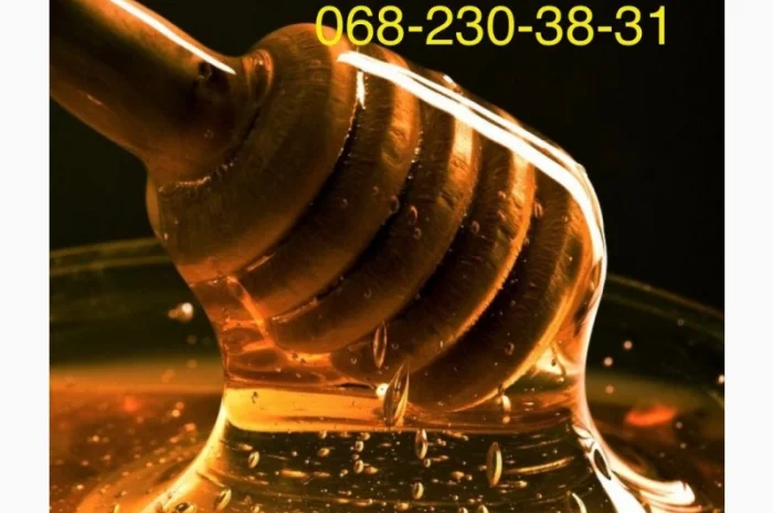 Закупаем мёд оптом – компания «Золотой Нектар»- фото № 1